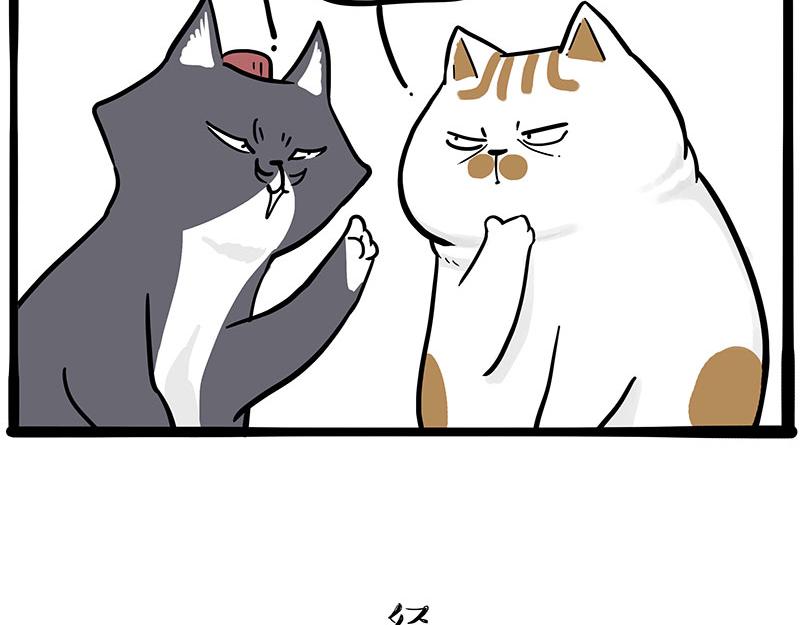 第320话 猫孵鱼18