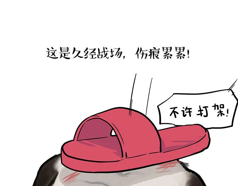 第390话 “生物钟”21