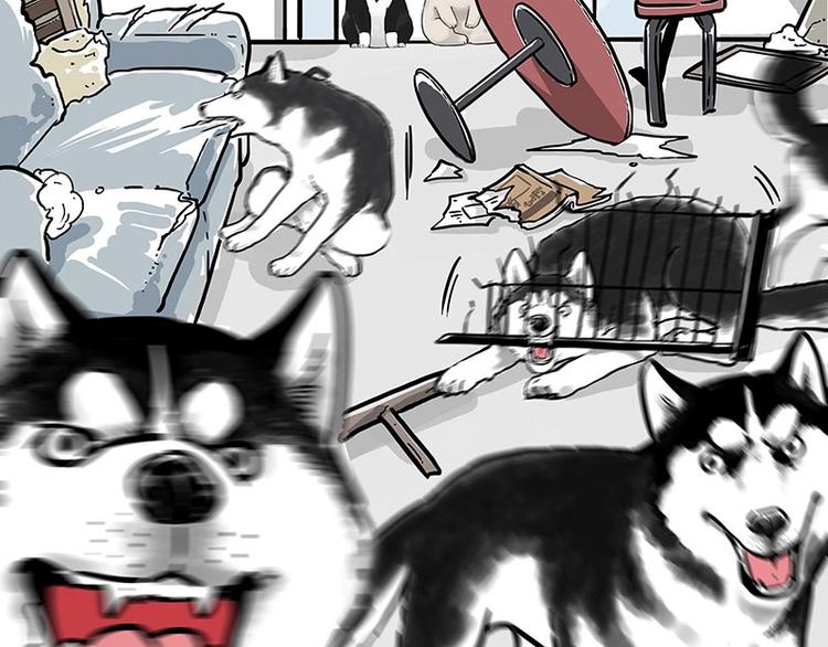 第194话 生活不易，猫狗打工6