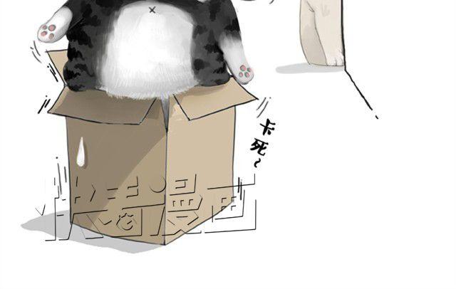 第5话 让我吃胖一定是人类陷阱9
