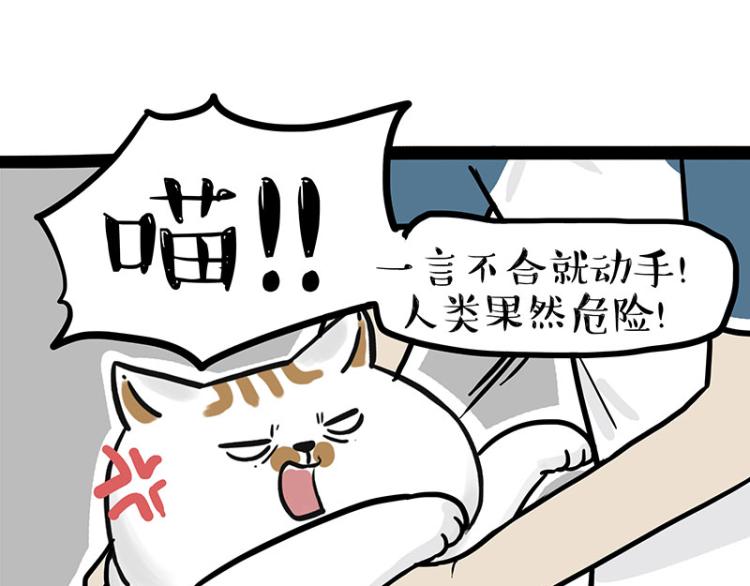 第290话 凶恶猫猫组织57