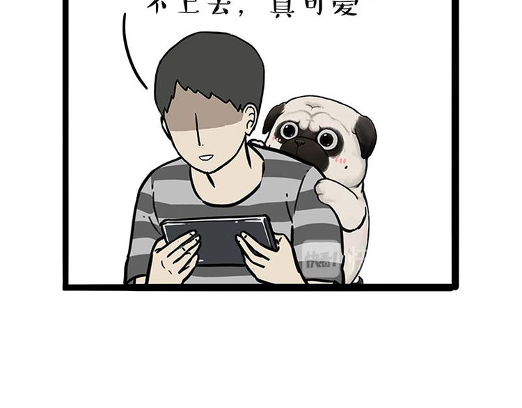第215话 狗不要了39