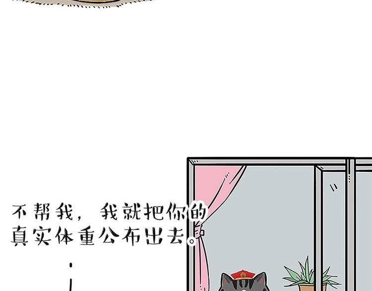 第167话 猫王争霸赛3