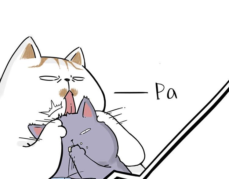 第167话 猫王争霸赛39