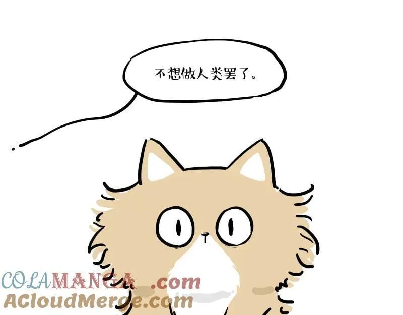 第424话 话痨小猫48