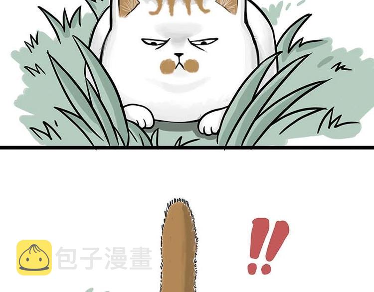 第159话 傲霸日常（二）11