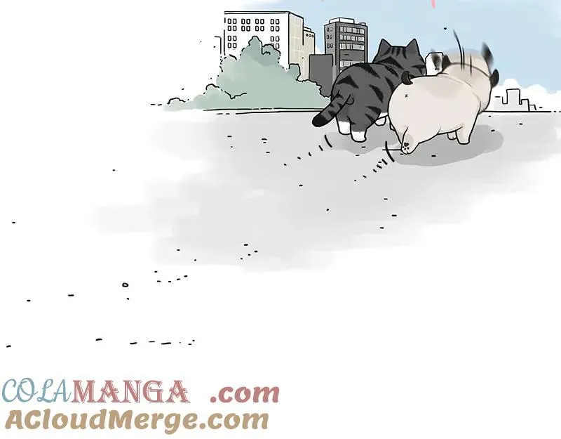 第409话 吾皇改名了？51