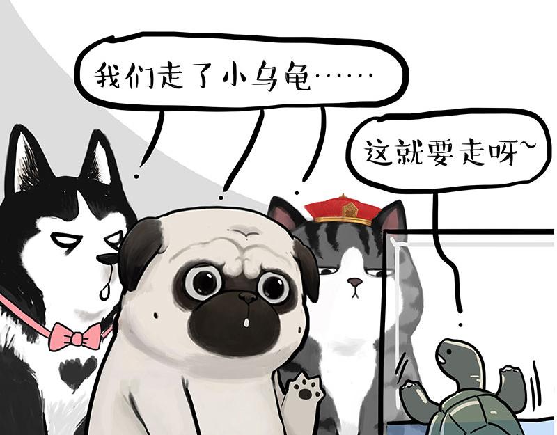 第299话 真假虚实52