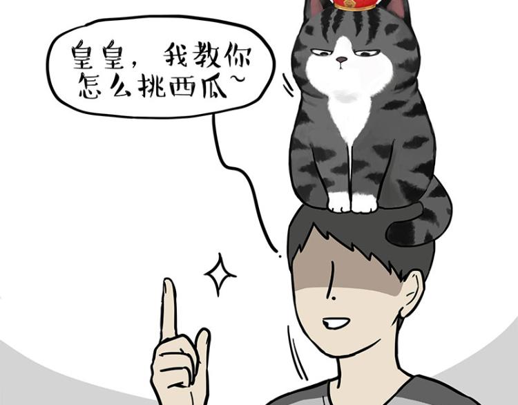 第285话 用四招4：0稳赢2
