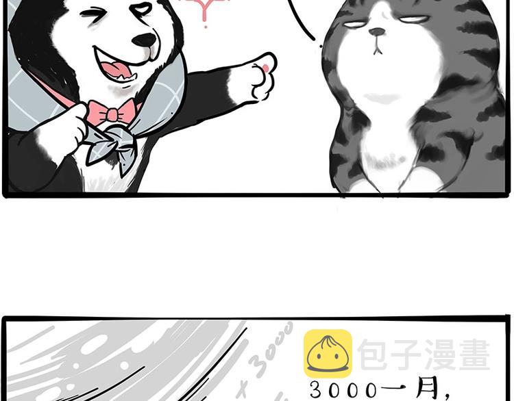 第197话 猫怼狗27