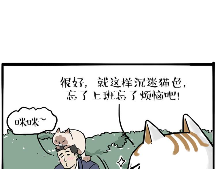 第290话 凶恶猫猫组织7