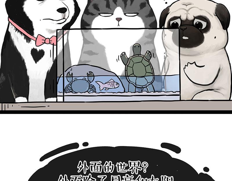 第298话 龟与狗与世界16