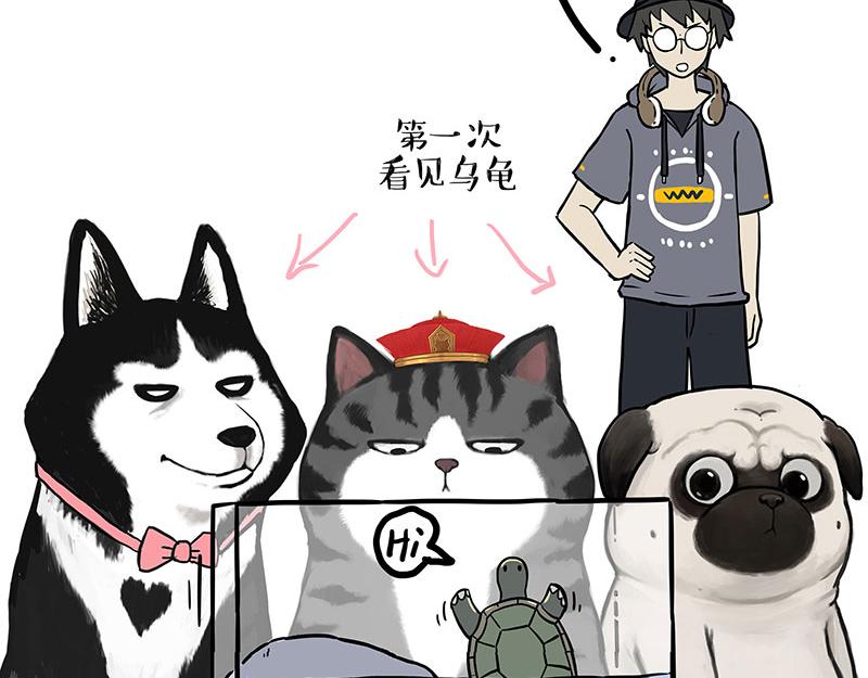 第299话 真假虚实4