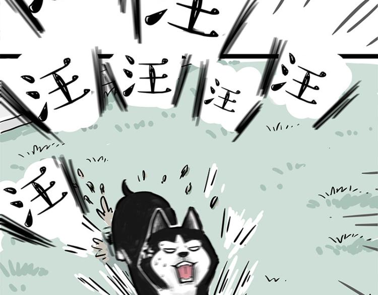 第288话 冒牌货，拿来吧你！23