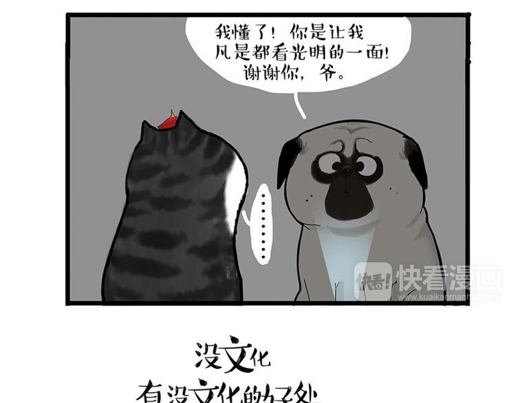 第38话 猫星人的三宫六院19