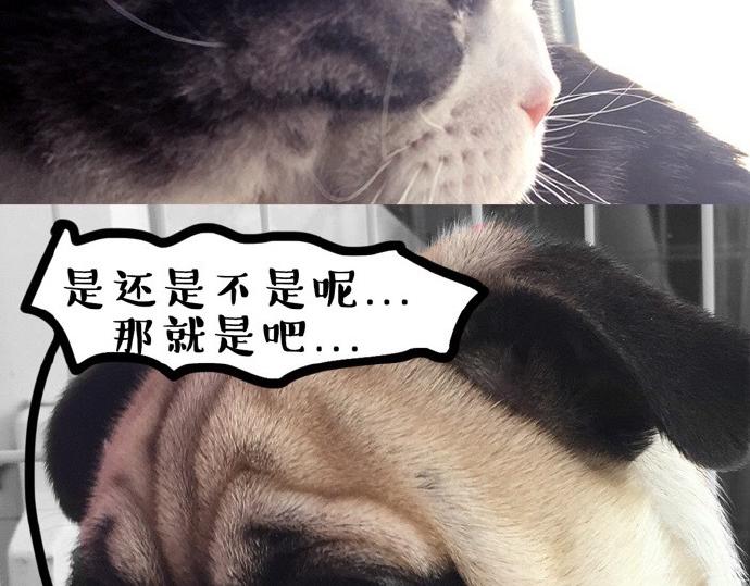 第26话 犯错你会卖萌求原谅吗23