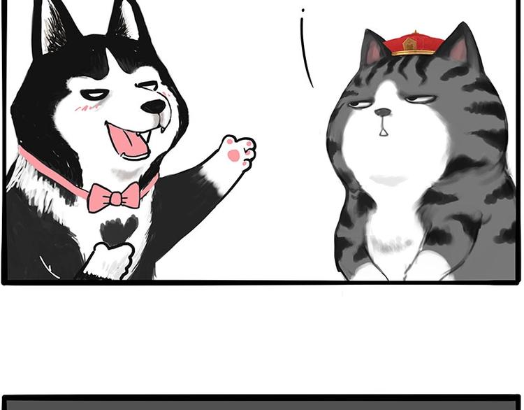 第197话 猫怼狗55