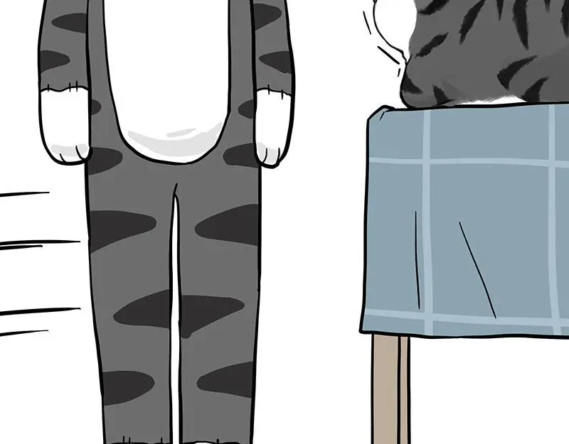 第325话 你不守猫德7