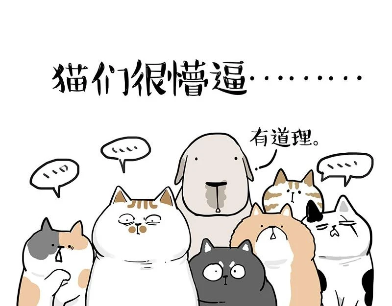 第365话 “神犬”巴扎黑51