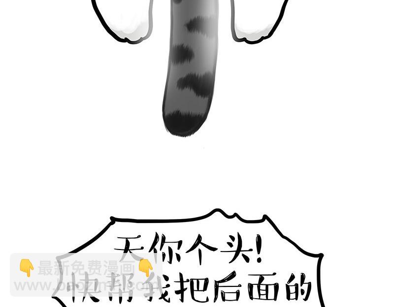 第340话 自我攻略5