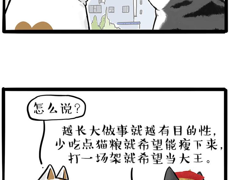 第249话 黑黑快跑！52