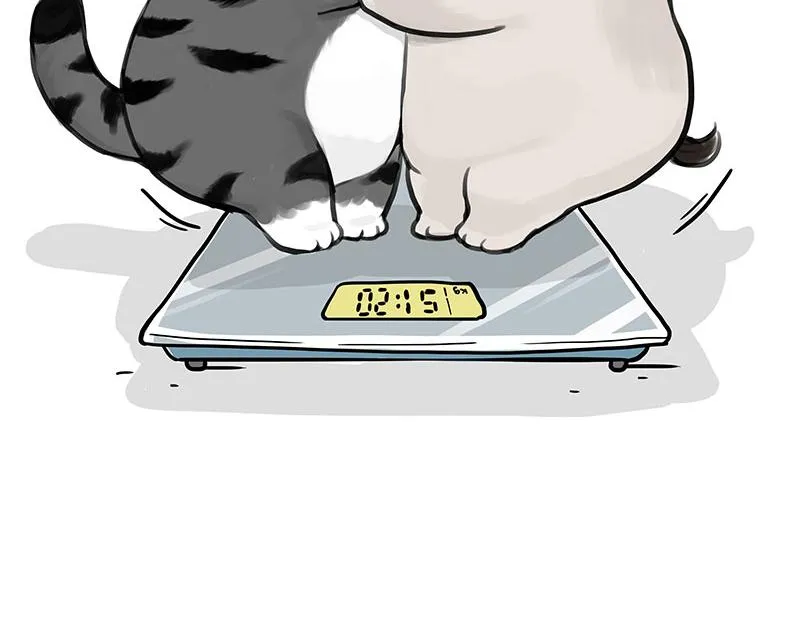 第383话 苦夏39