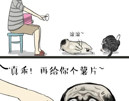 第21话 巴扎黑不是我亲生的！3