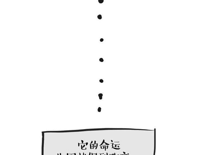 第30话 能运功的喵星人20