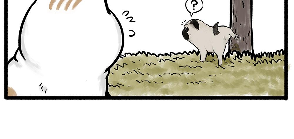 第331话 猫王争霸之“杀青”16