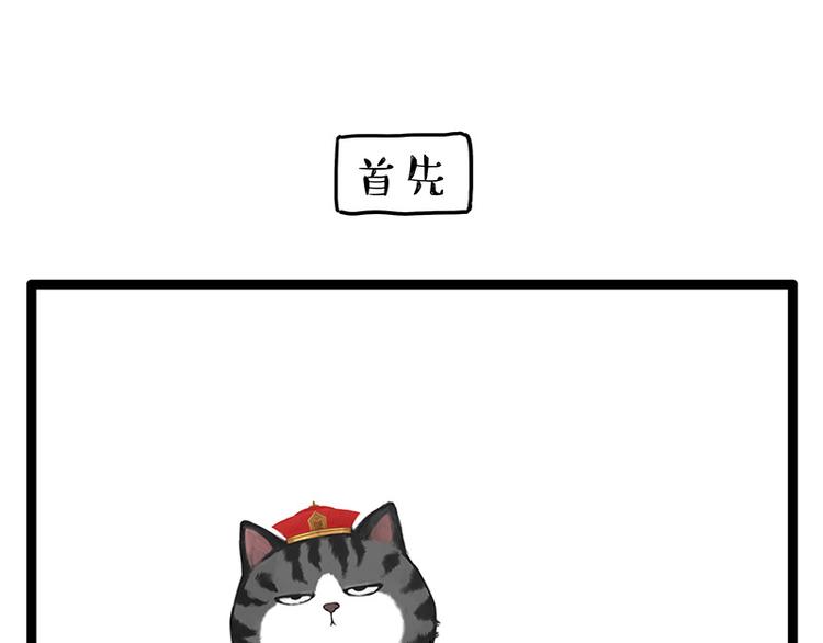 第250话 不择手段17