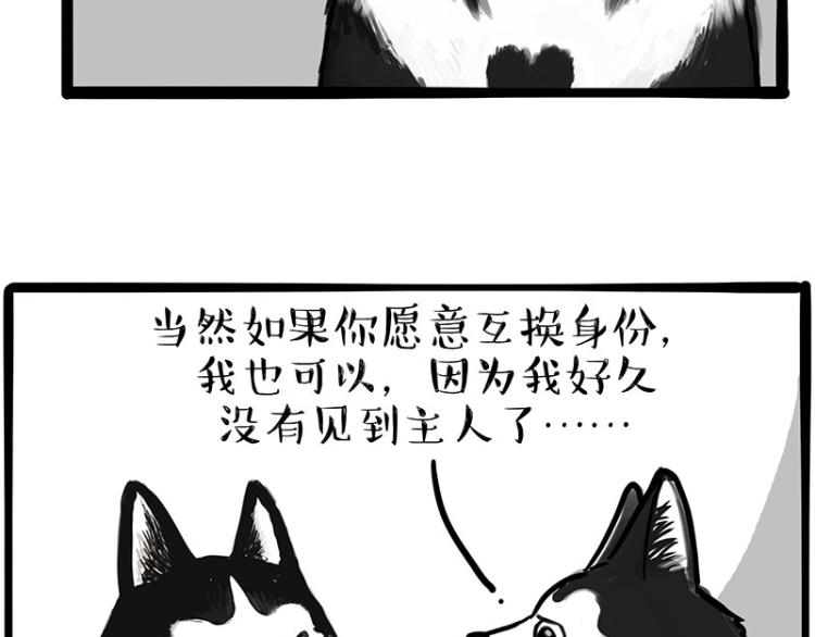 第289话 吹牛狗真牛3