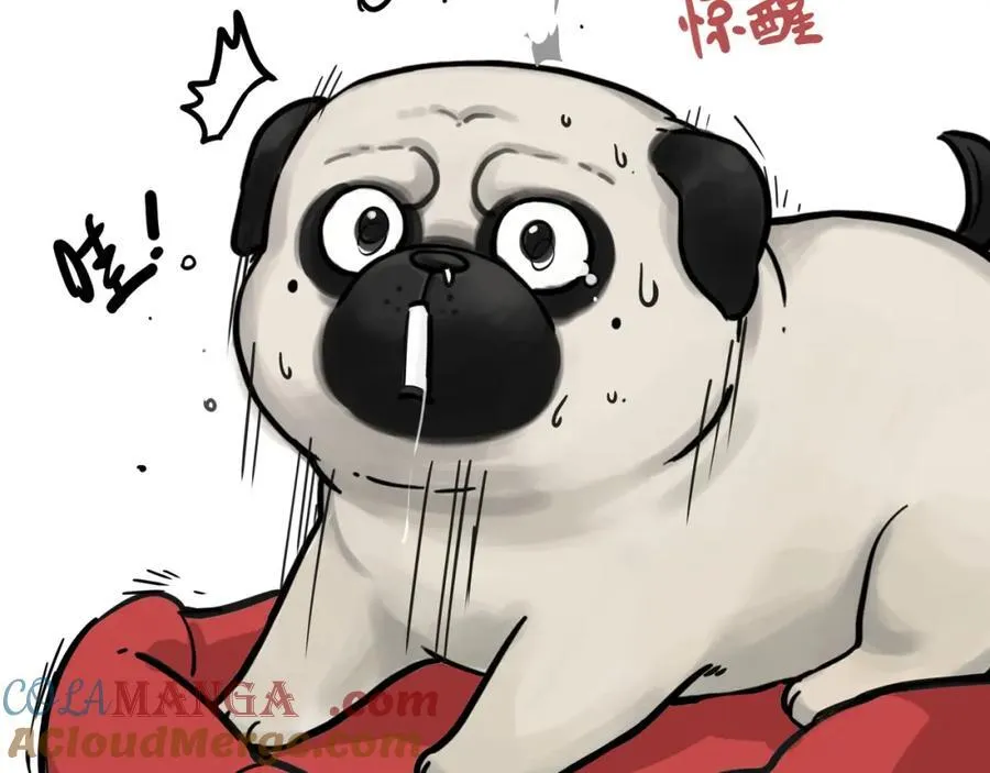 第411话 有人欢喜有人忧24