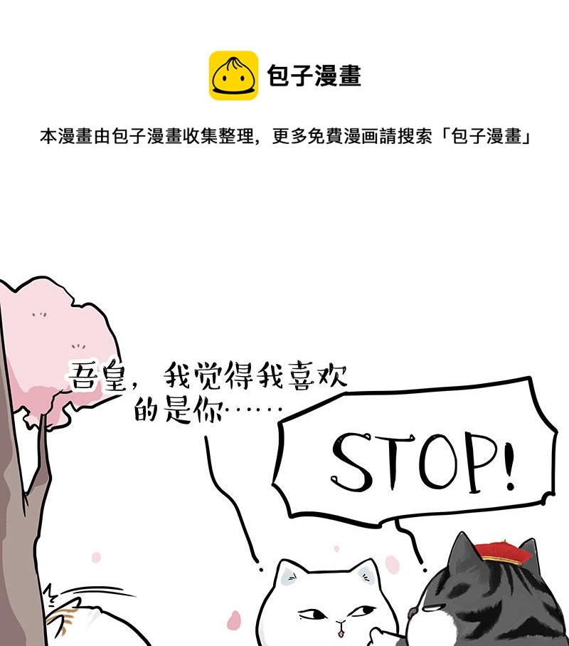 第324话 春天转瞬即逝40