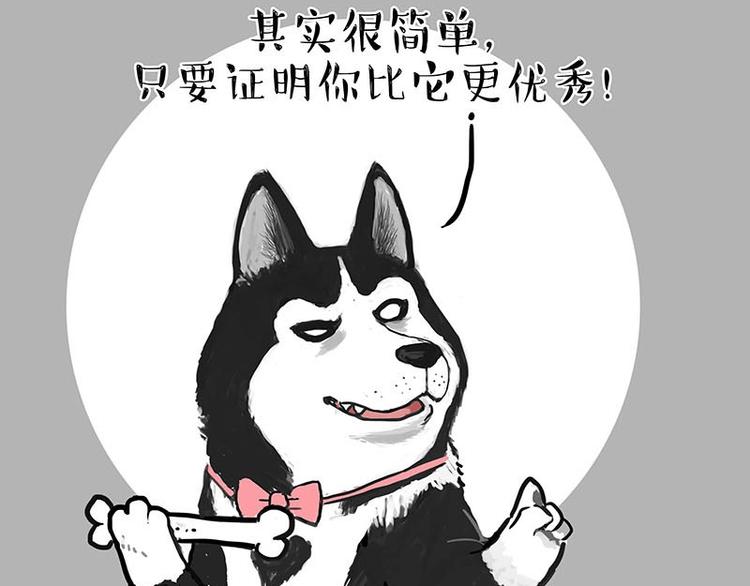 第155话 狗之礼仪18