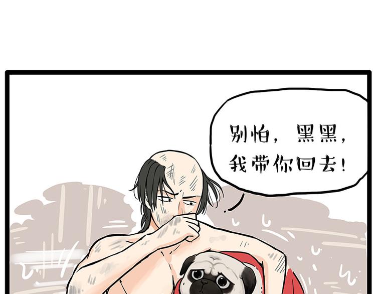 第252话 秃头帅哥70