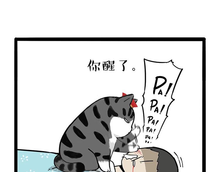 第172话 少年大改造？33