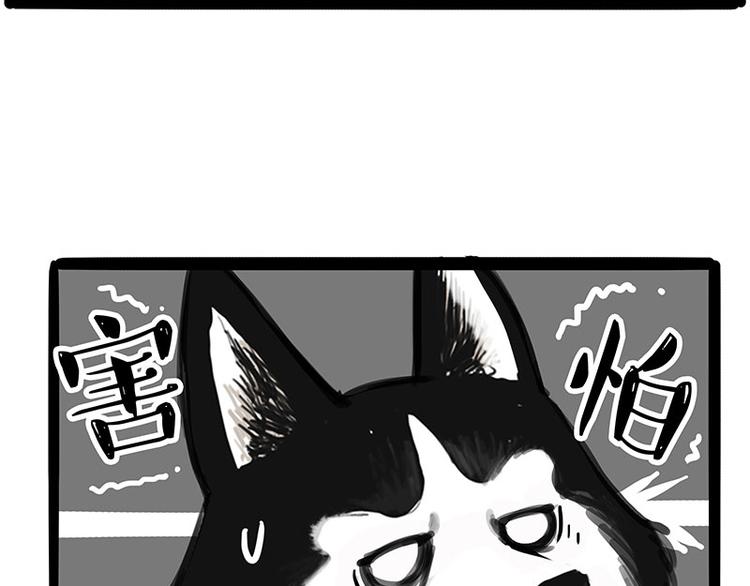 第231话 防骗指南5