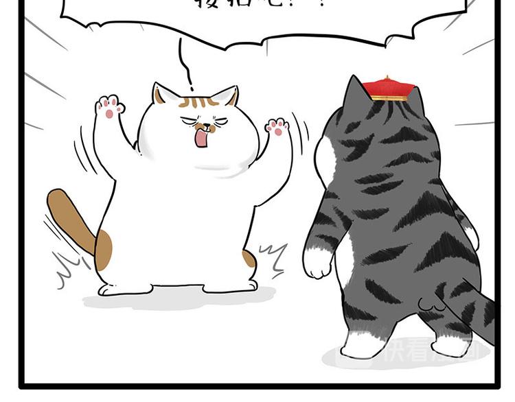 第254话 摔角大赛谁与争锋49