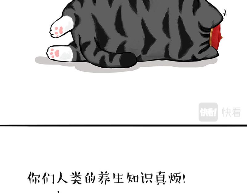 第311话 抓不住！13