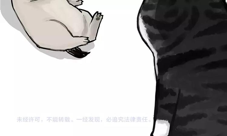 第106话 遛弯39