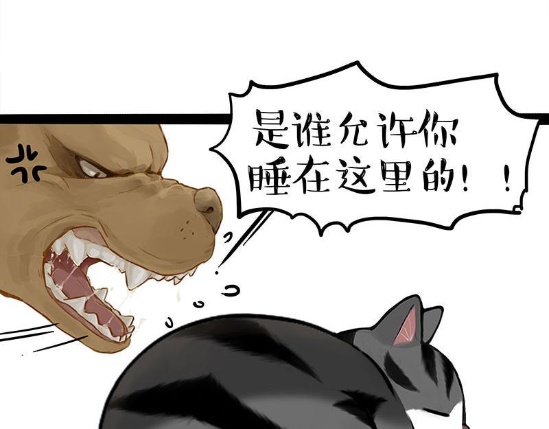 第370话 你就宠它吧21