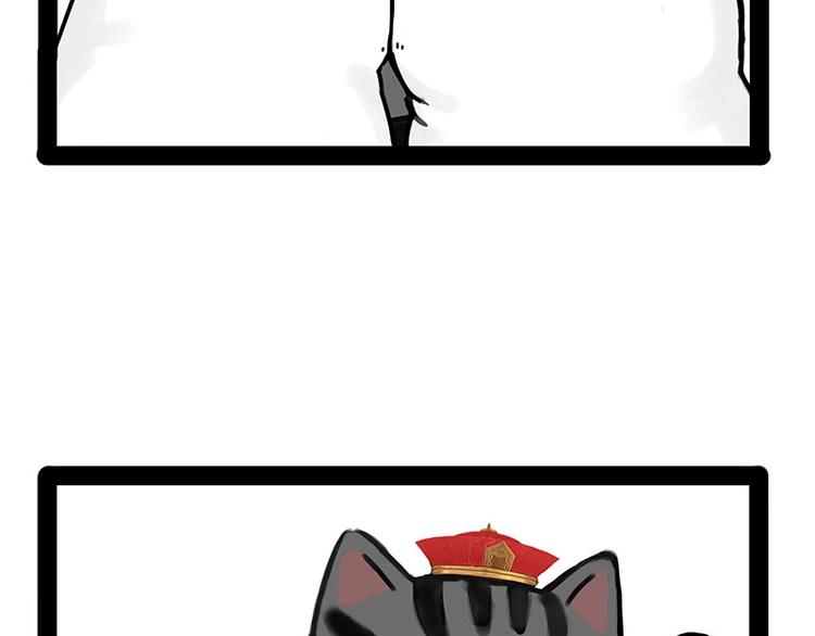 第167话 猫王争霸赛52