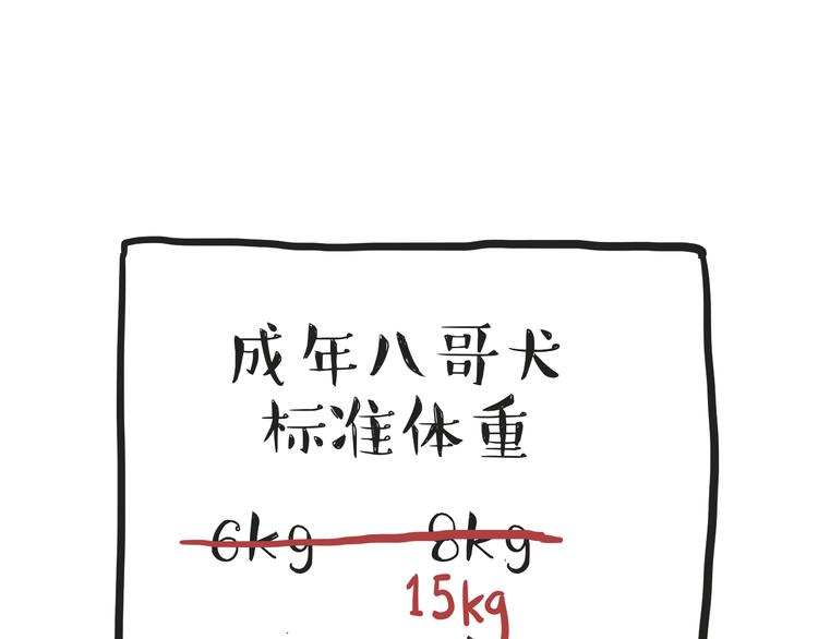 第74话 猫主子送的也敢扔21