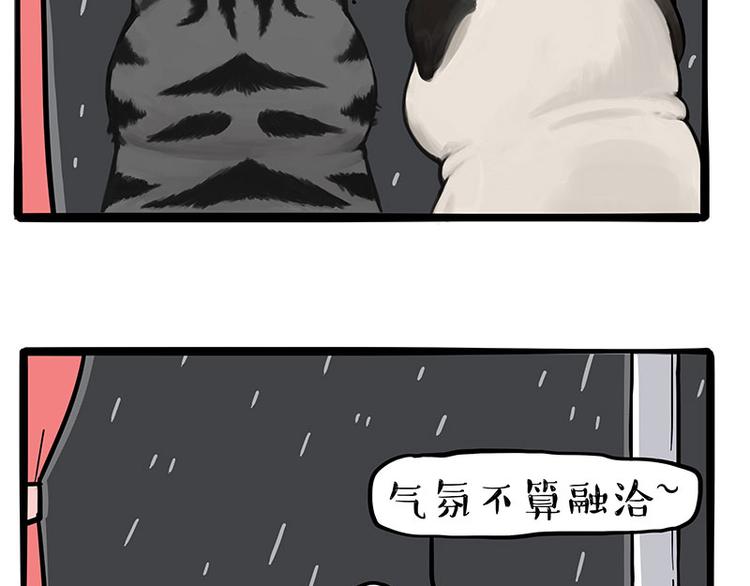 第265话 雨夜“惊魂”2