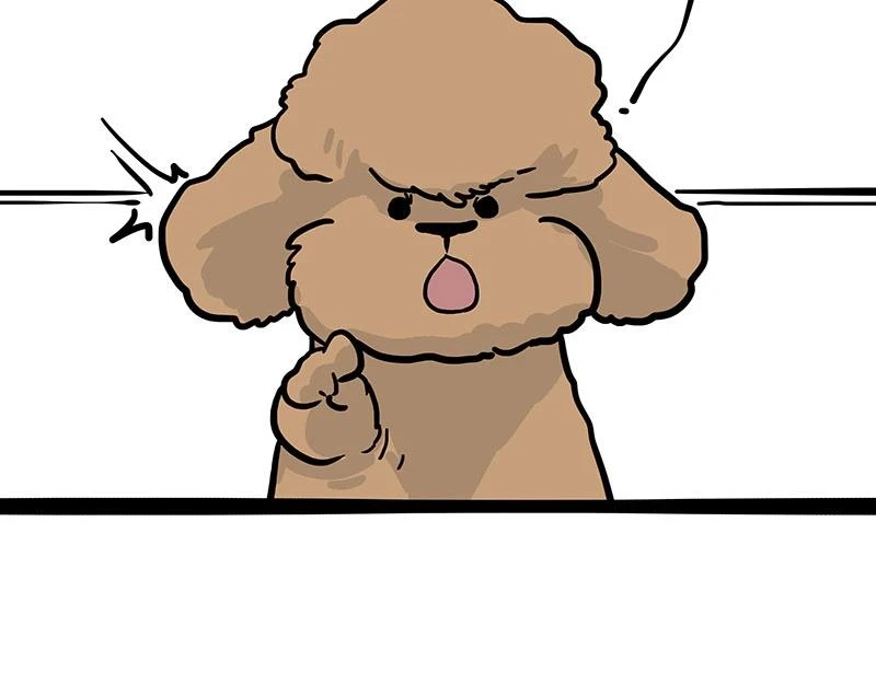 第365话 “神犬”巴扎黑53