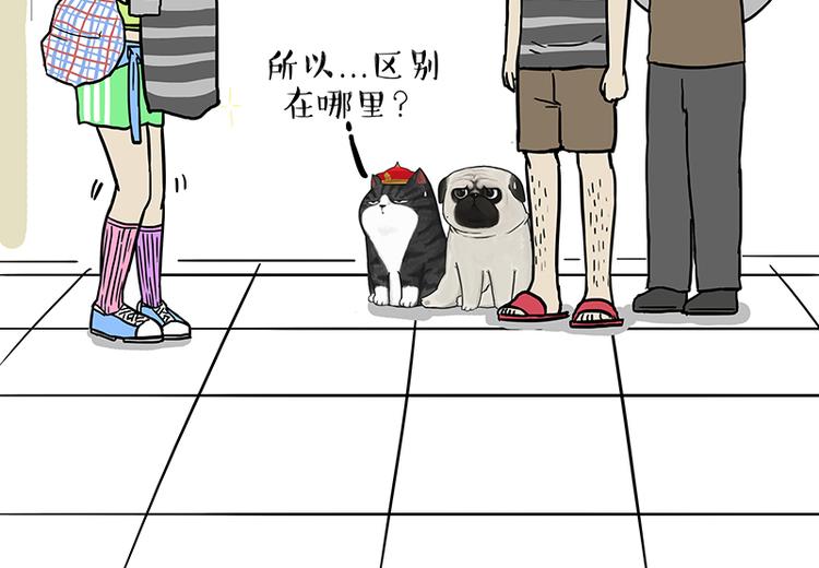第229话 条纹衫是你的命16