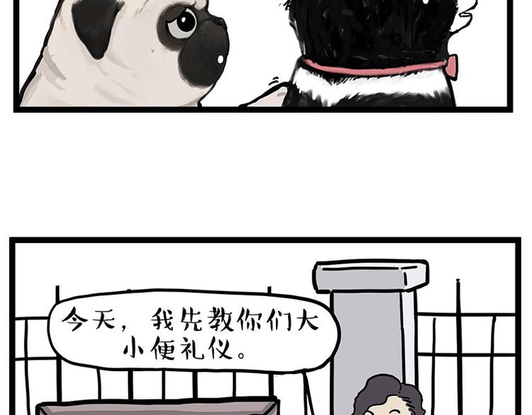 第280话 狗上学20