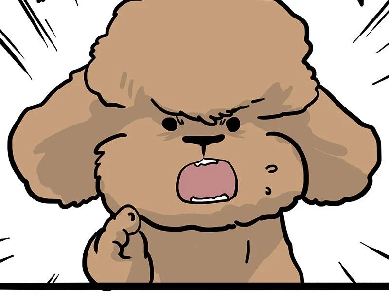 第365话 “神犬”巴扎黑56