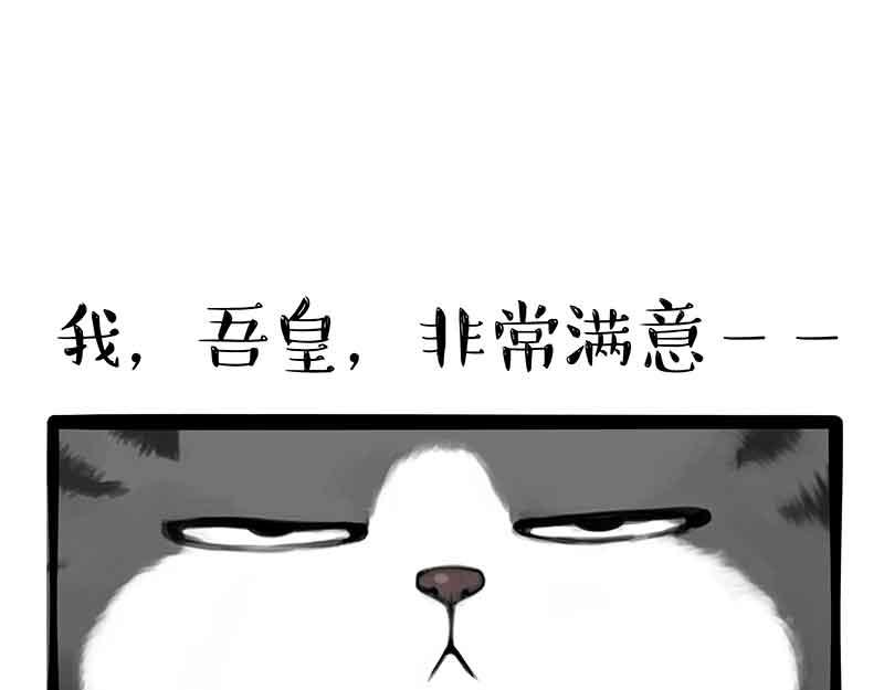 第359话 猫洛芬4