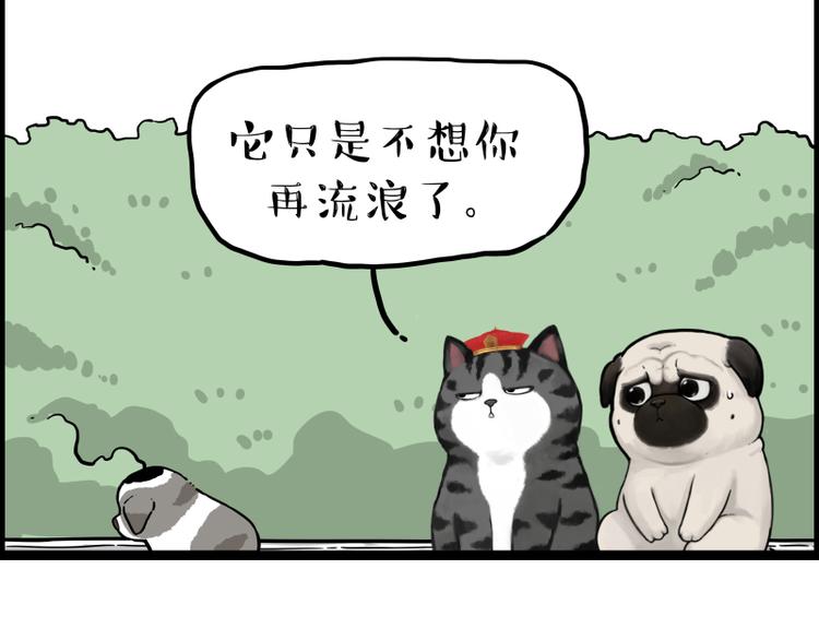 第267话 不让你流浪79